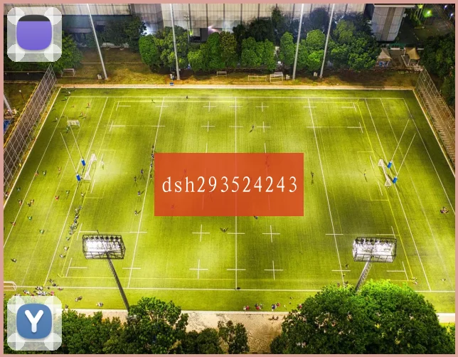dsh293524243