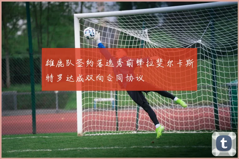 雄鹿队签约落选秀前锋拉斐尔卡斯特罗达成双向合同协议